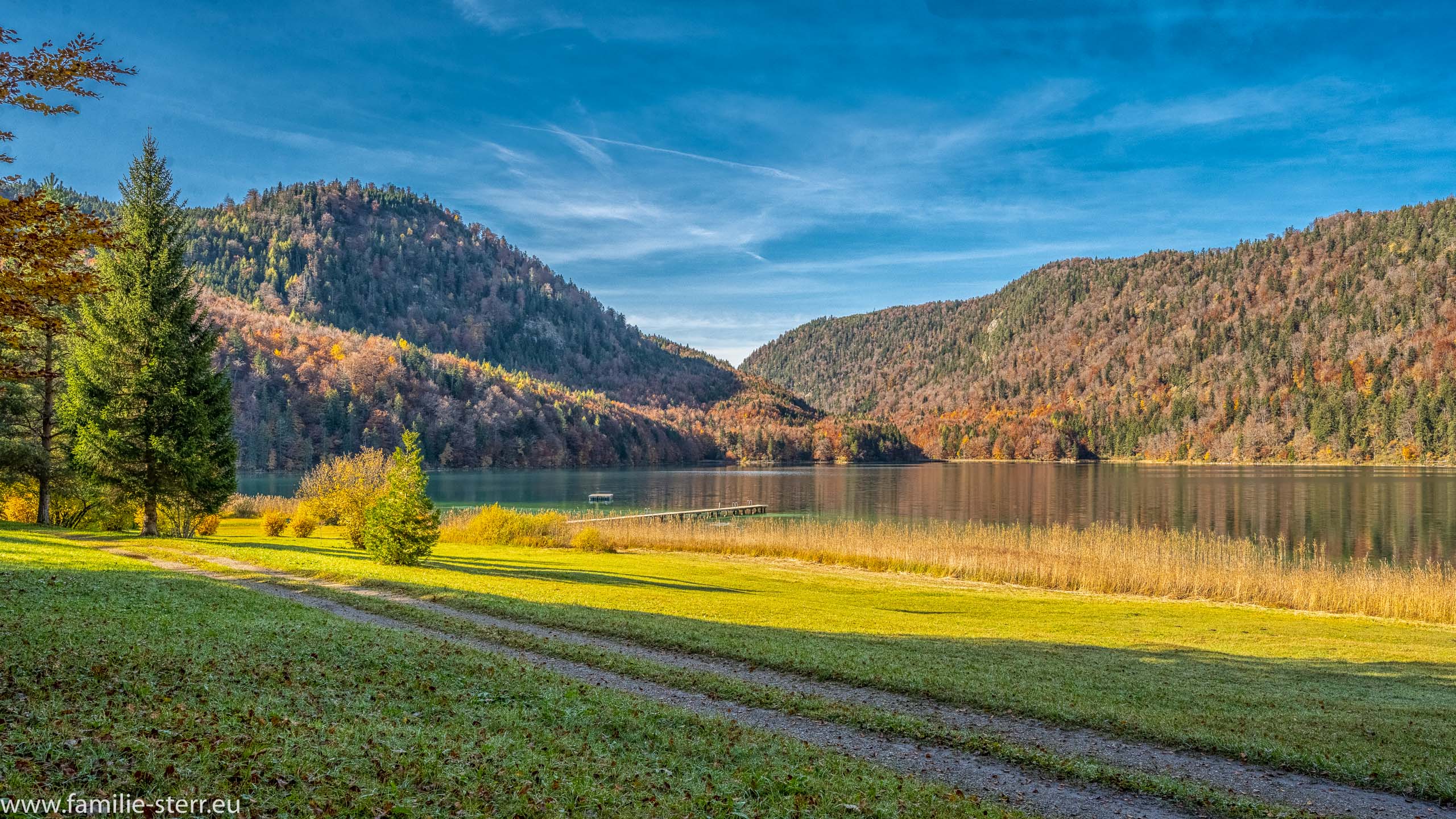Alpsee im Herbst